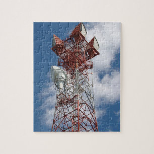 Microwave Telecommunications Torn Pussel