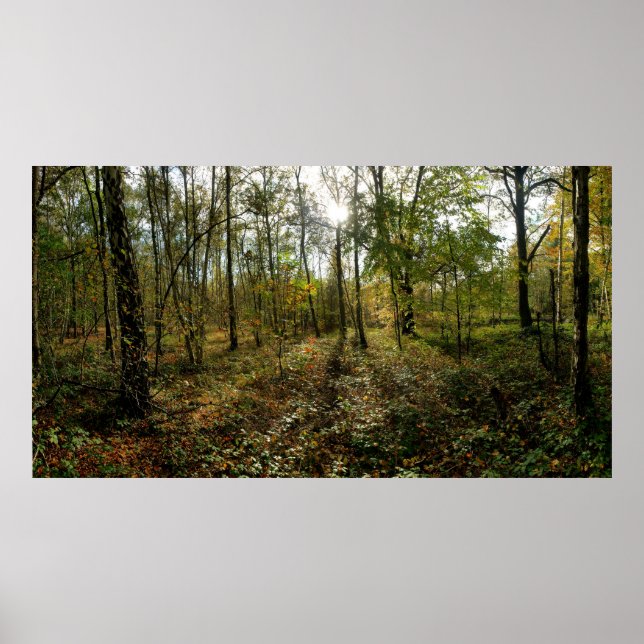 Mid-hösten, Poster (Framsidan)