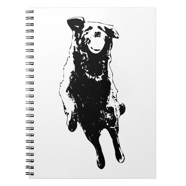 Mid-leap delight anteckningsbok (Framsidan)