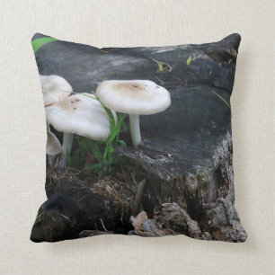 Mid Summers Fungi Kudde