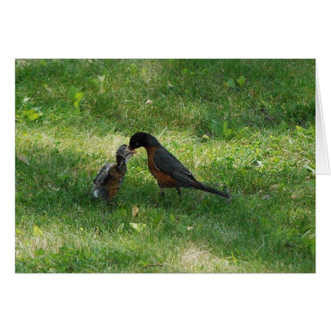 Middag! Hälsningskort (Framsidan Horizontal)