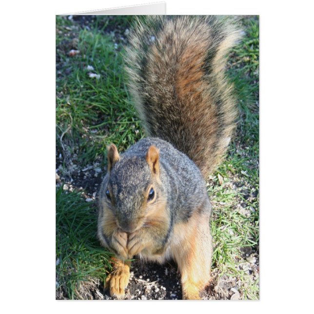 Middag Hälsningskort (Framsidan)