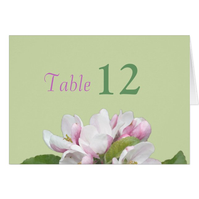 Middagskort för bordsnummer OBS kort (Framsidan Horizontal)