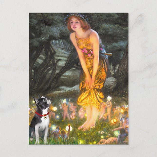 MidEve - Boston Terrier #2 Vykort (Framsida)