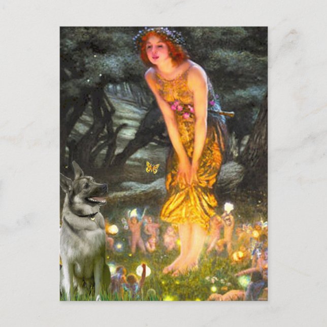 MidEve - Norsk Elghund Vykort (Framsida)