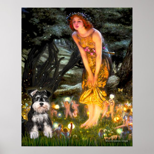 MidEve - Schnauzer (B) Poster (Framsidan)