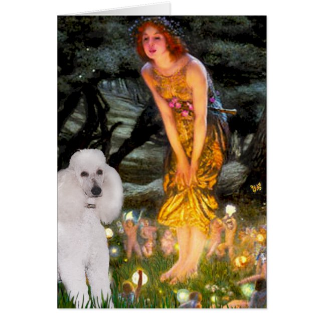 MidEve - vit Pudel Hälsningskort (Framsidan)