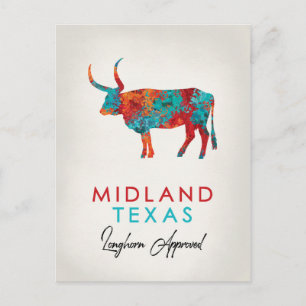 Midland Texas Colorful Longhorn Vykort