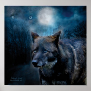 Midnatt andekonstaffisch/tryck poster