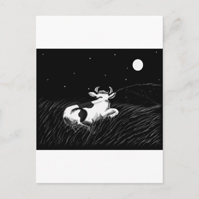 Midnatt Cow Vykort (Framsida)