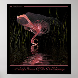Midnatt Dance of the Rosa Flamingo Poster
