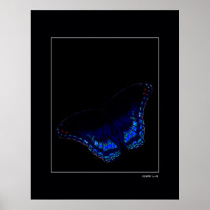 Midnatt flyg poster