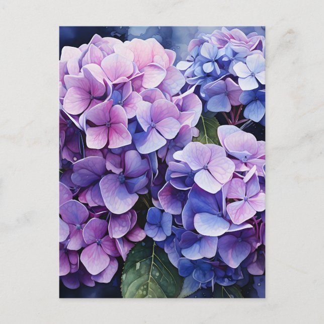 Midnatt Garden Violet Hydrangea Watercolor Meddelande Vykort (Framsida)