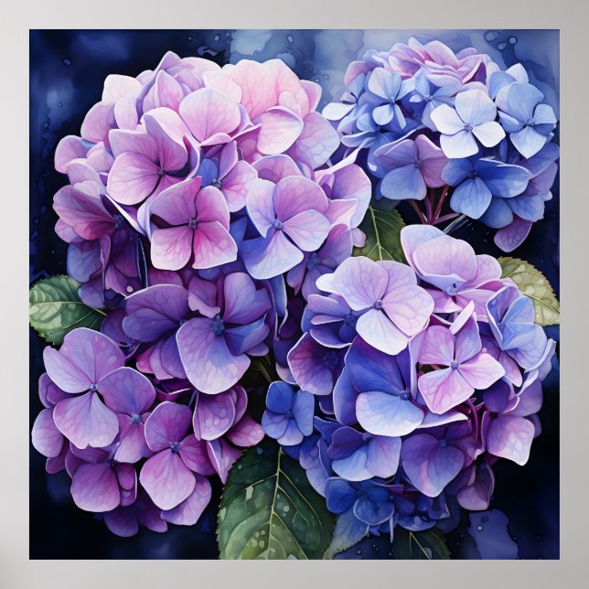 Midnatt Garden Violet Hydrangea Watercolor Poster (Framsidan)