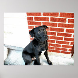 Midnatt gör en kamerapsa poster