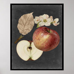 Midnatt Harvest II Poster
