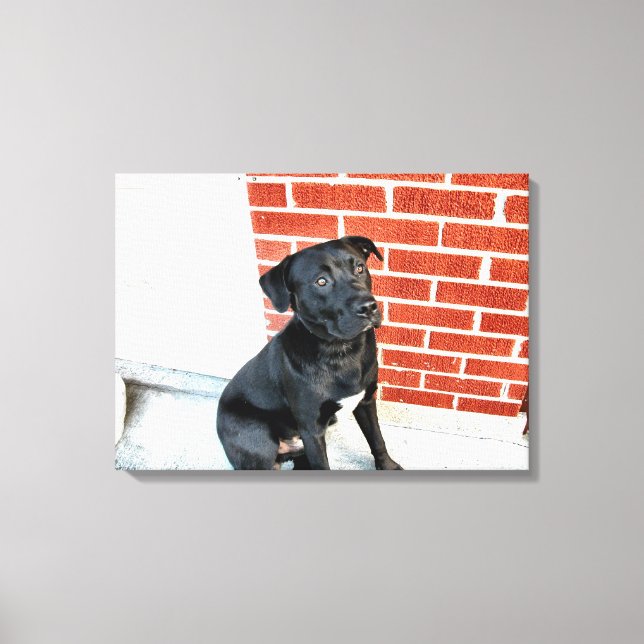 Midnatt i ett pensivt läge canvastryck (Framsida)