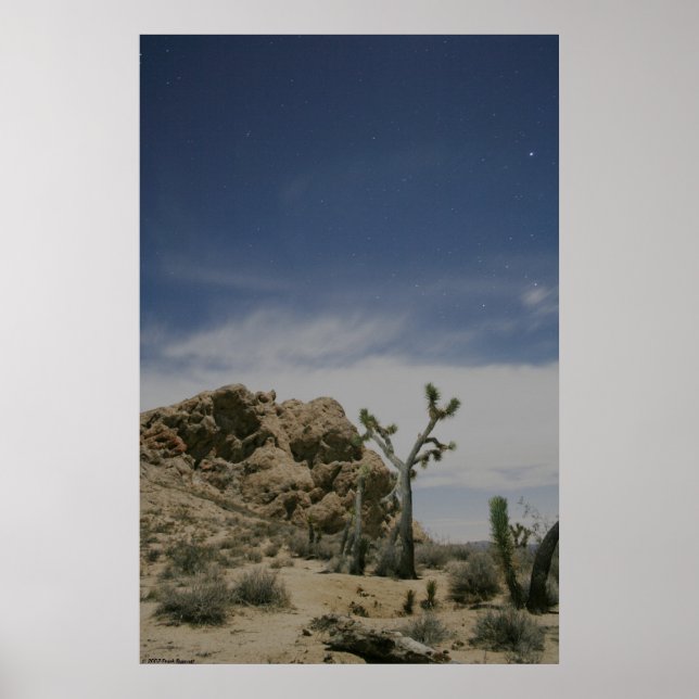 Midnatt i Mojave Poster (Framsidan)
