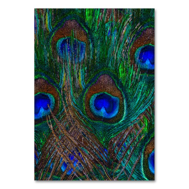 Midnatt Peacock Feathers Etching Stil Decor Bordsnummer (Framsidan)