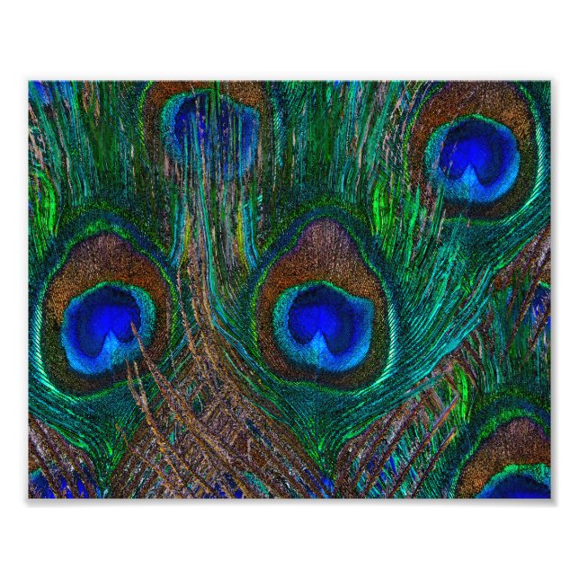 Midnatt Peacock Feathers Etching Stil Decor Fototryck (Framsidan)