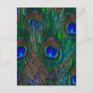 Midnatt Peacock Feathers Etching Stil Decor Vykort