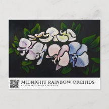Midnatt Regnbågsorkidéer
