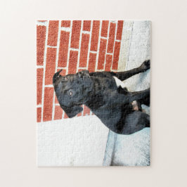 Midnatt Sits for a Pose Pussel