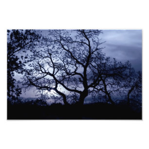 Midnatt solnedgång fototryck