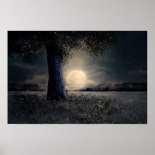 Midnatt under Träd Poster
