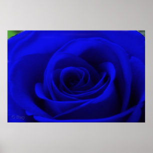 Midnatta blått poster