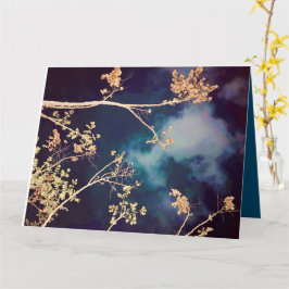 Midnattsblåkort Kort