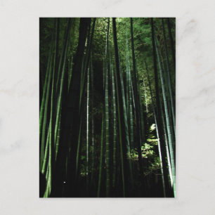 Midnight Bamboo Vykort