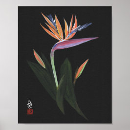 Midnight Bird of Paradise Konst Poster