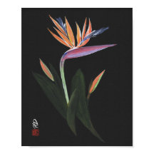 Midnight Bird of Paradise Konst