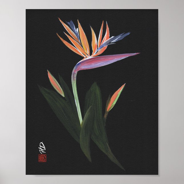 Midnight Bird of Paradise Konst Poster (Framsidan)
