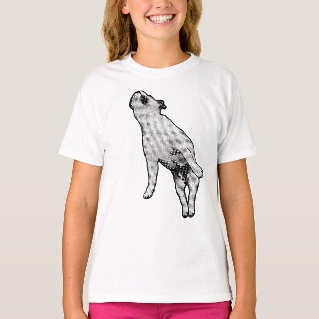 Midnight Biscuit tupplur T Shirt (Framsida)