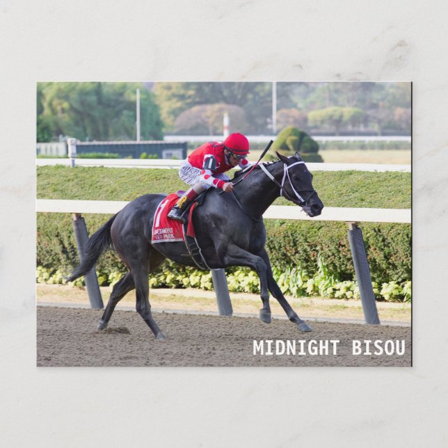 Midnight Bisou - Beldame Stakes Vykort (Framsida)