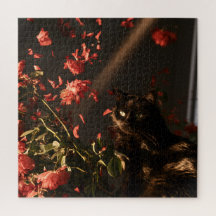 Midnight Bloom Katter