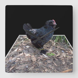 "Midnight Feathers: A Black Chicken in Popout Art" Fyrkantig Klocka