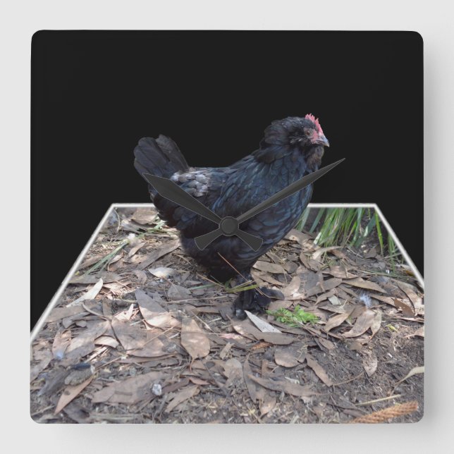 "Midnight Feathers: A Black Chicken in Popout Art" Fyrkantig Klocka (Framsida)