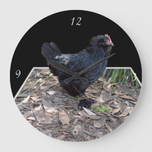 "Midnight Feathers: A Black Chicken in Popout Art" Stor Klocka