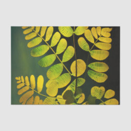 MIDNIGHT FERN decoupage papper