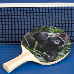 Midnight Gorilla Kung: Monarch of the Forest Pingisracket