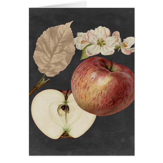 Midnight Harvest II Hälsningskort (Framsidan)