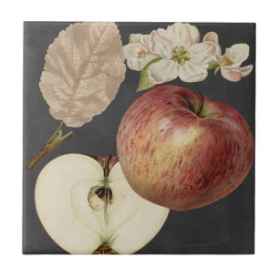 Midnight Harvest II Kakelplatta