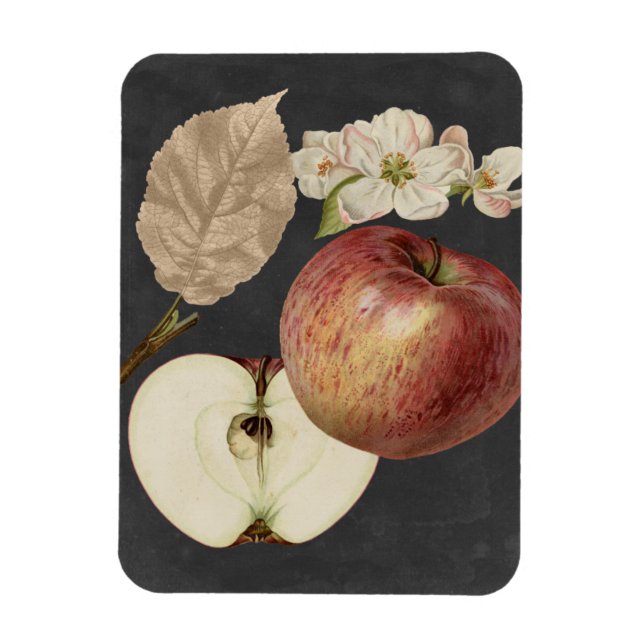 Midnight Harvest II Magnet (Vertikal)