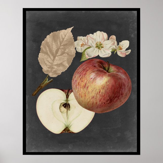 Midnight Harvest II Poster (Framsidan)