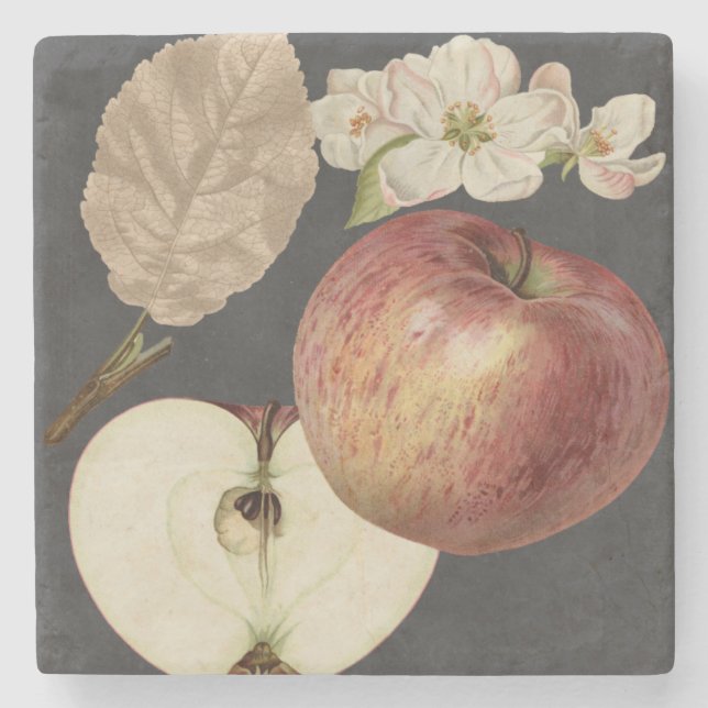 Midnight Harvest II Underlägg Sten (Framsidan)