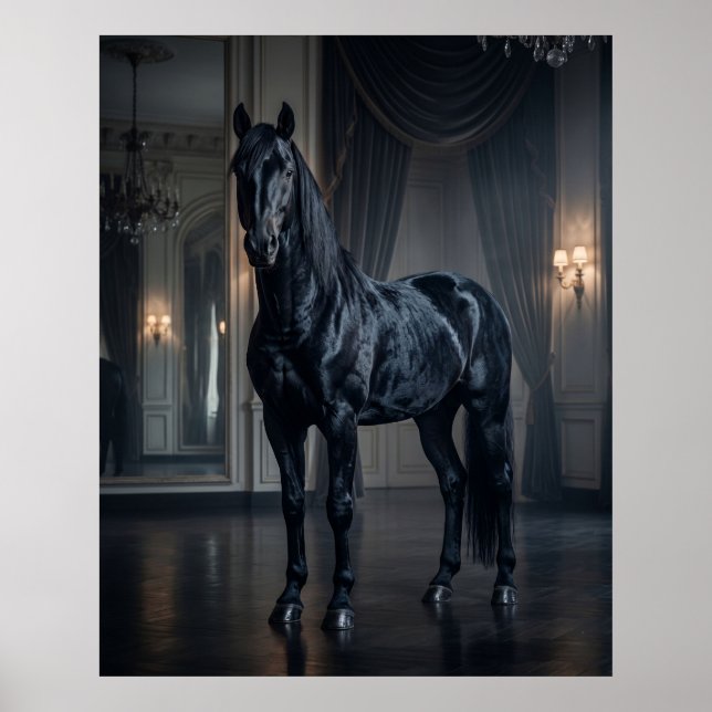 Midnight Horse Ballrum Poster (Framsidan)