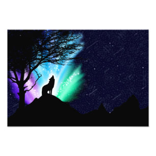 Midnight Howl Fototryck